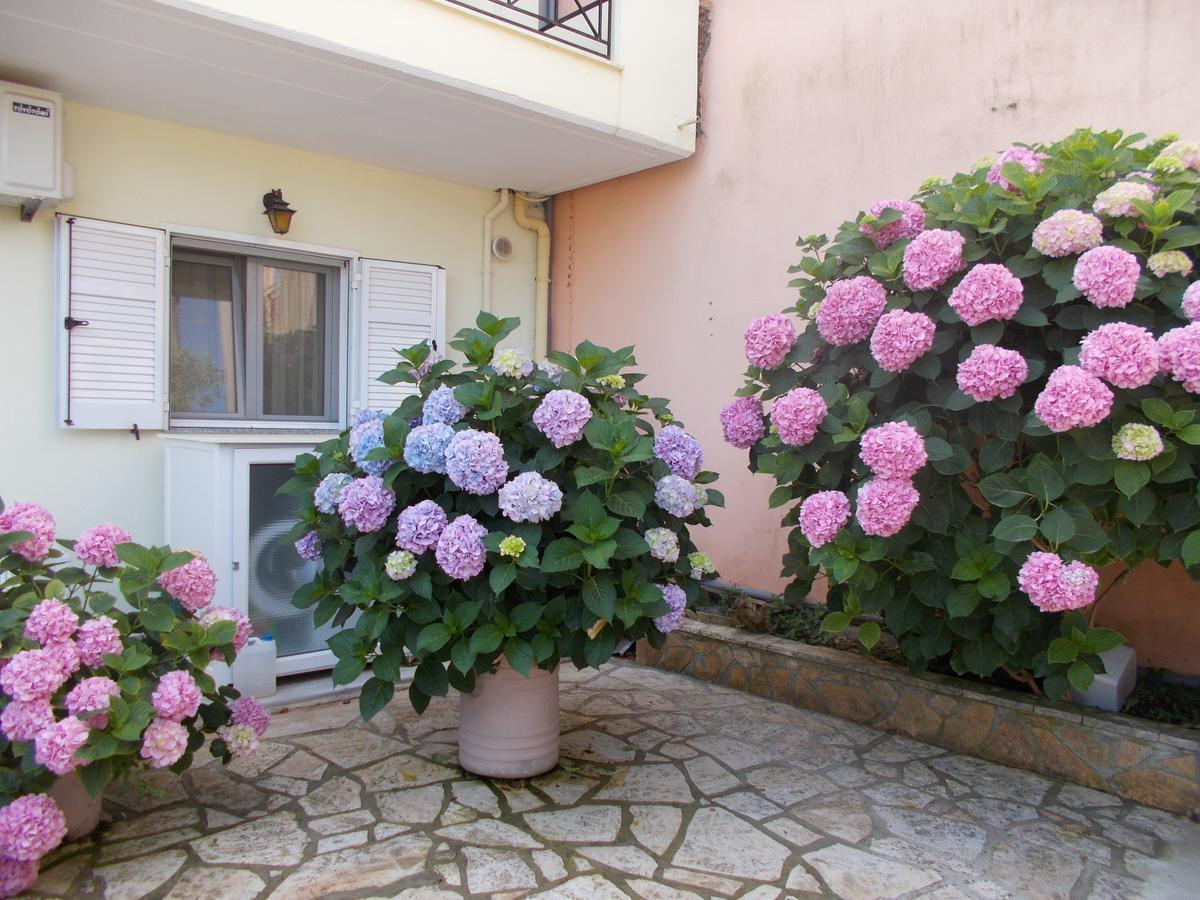Pansion Filoxenia & 3* Tsoukaládhes