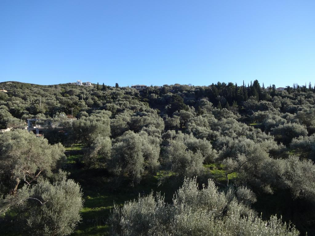 Hotel apartamentowy Pansion Filoxenia Apartments&studios 3*